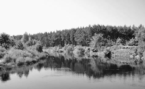 фото: Ковпаківський парк